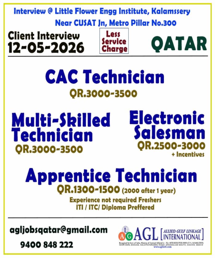 electronic-salesman_qatar-2